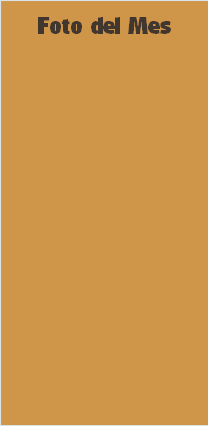 Foto del Mes 